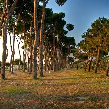 Apartment Lady 2 - *