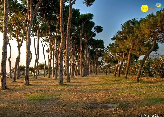 Διαμέρισμα Lady 2 - *